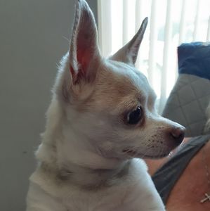 Buy my aunties stuff, we need to go on vacay  😀